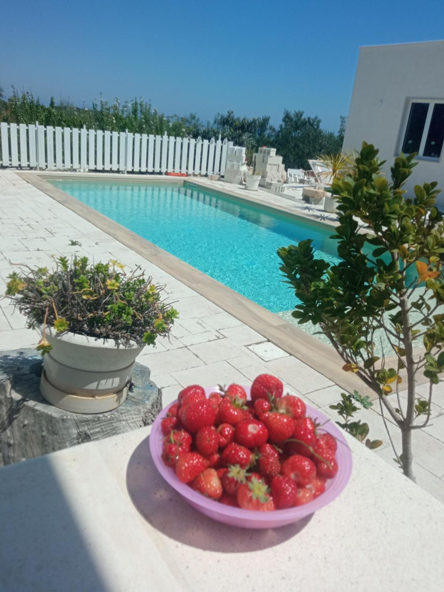 Vale & Frans Villa Monopoli Exterior photo